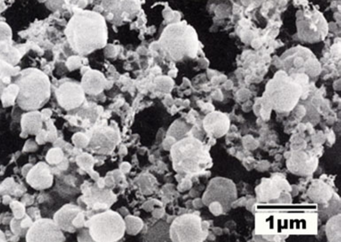 Polymer emulsion with individual particles (Jeol)