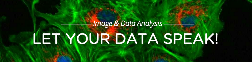 Image and Data Analysis